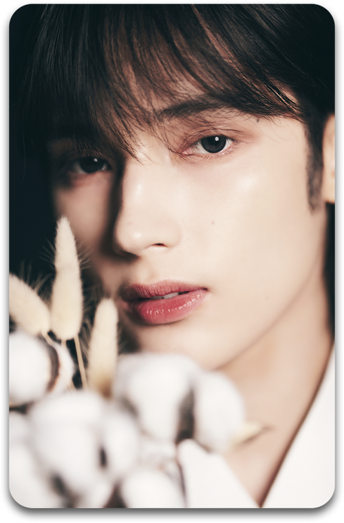 Карта / TXT #244