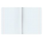 Тетрадь предметная МЕМЫ 48 л., TWIN-лак, ОБЩЕСТВОЗНАНИЕ, клетка, подсказ, BRAUBERG, 405097