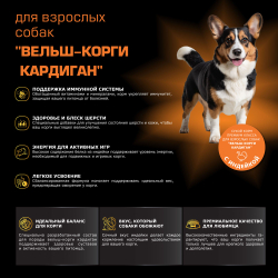 Корм для взрослых собак породы Вельш-корги кардиган, с индейкой, 12 кг, QUATTRO