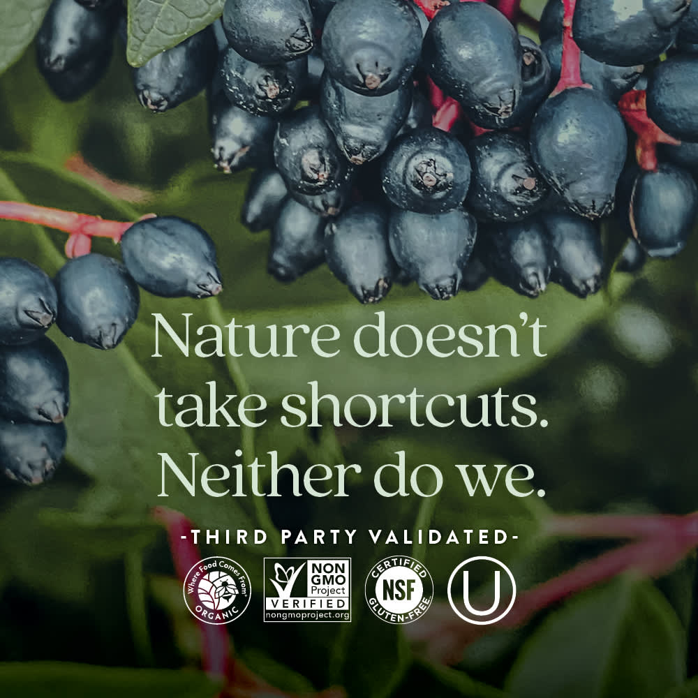 New Chapter, ферментированный витамин C, 60 веганских таблеток