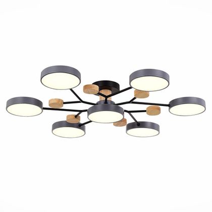 Светильник потолочный Evoluce Faema SLE6006-702-07