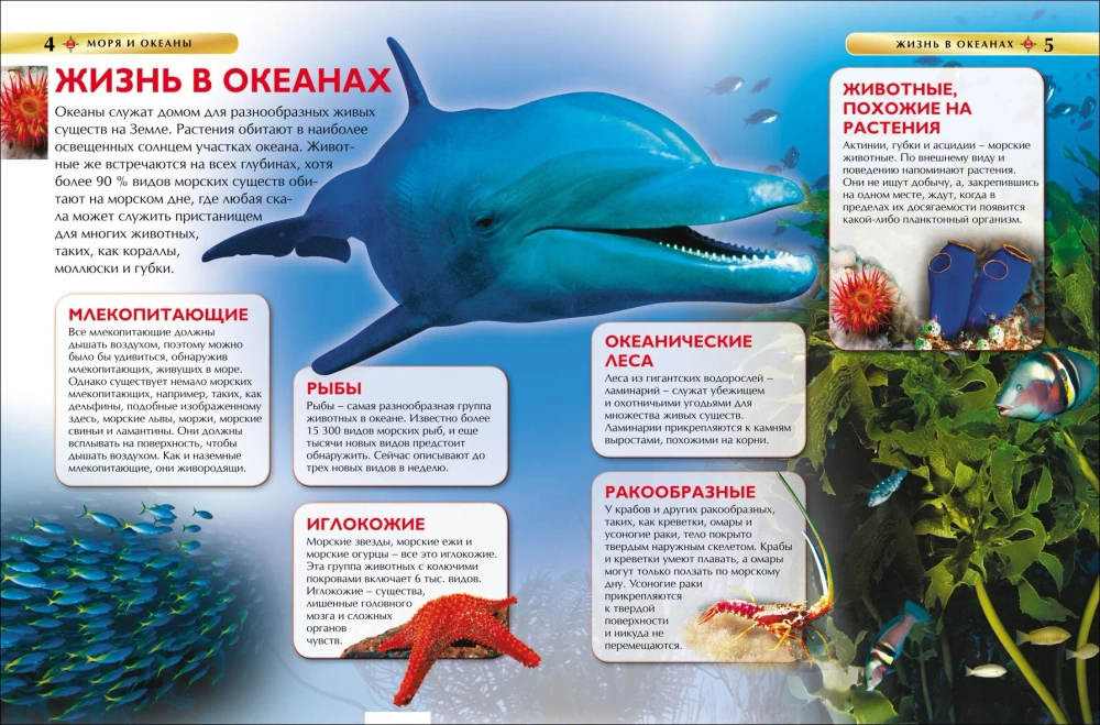 Моря и океаны. Детская энциклопедия