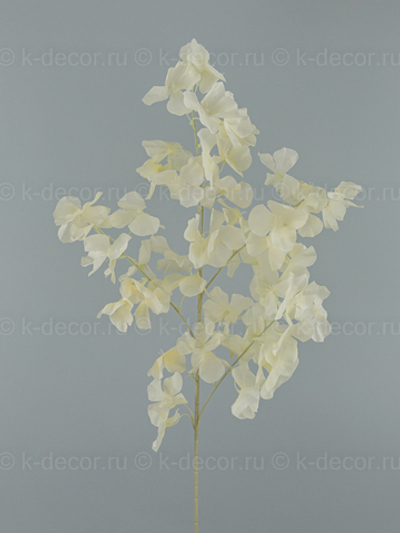 Ветка сакуры Асами лайт