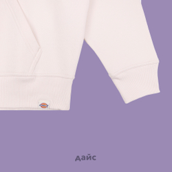 Толстовка мужская Dickies Enterprise Hoodie