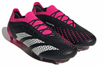 Кроссовки Adidas Predator Accuracy.1 Fg