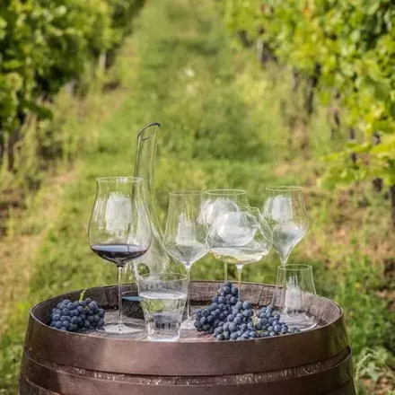 Бокал для вина «Линеа умана» хр.стекло 1,1л D=11,6,H=27,5см прозр