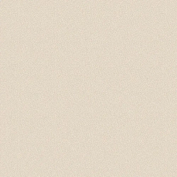 Обои винил на флизелине Белвинил Континенты фон 0429-61 1.06*10м