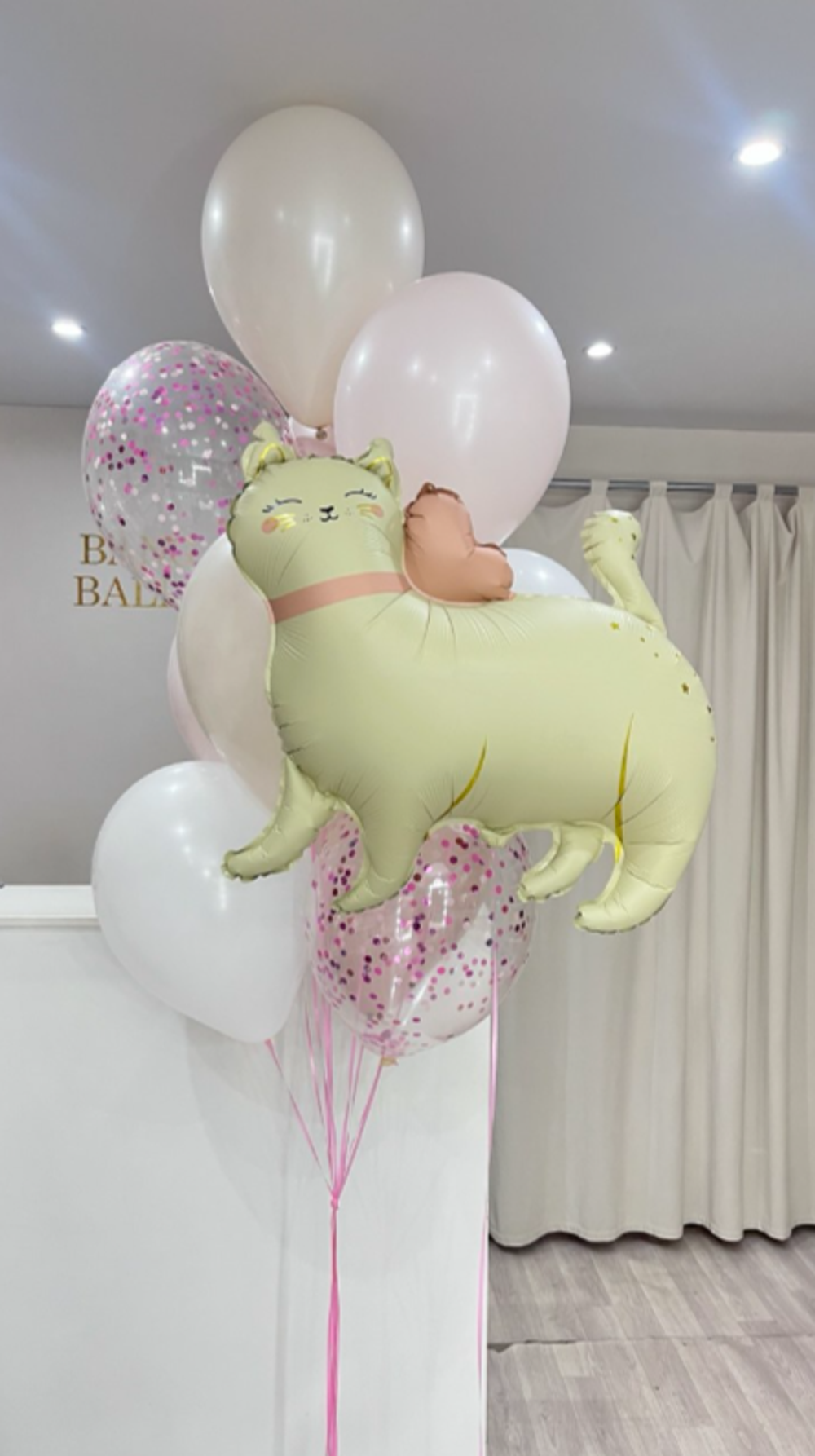 шары для девочек №426