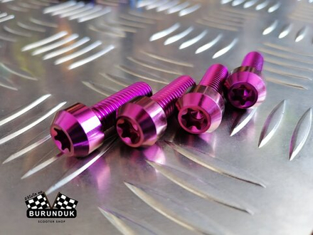 ТИТАНОВЫЙ БОЛТ M8 x 25 [ 2 шт ] ( для крепления суппорта ) DIO (ДИСКОВЫЕ ТОРМОЗА)