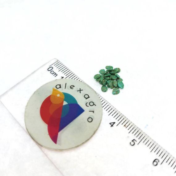 МОНТЕНЕГРО F1 семена томата Rijk Zwaan цена