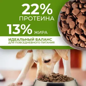 Уценка! Повр.упак. / Сухой корм Дилли для взрослых собак "Говяжий гуляш с овощами"