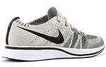 Кроссовки Nike Flyknit Trainer Pale Grey