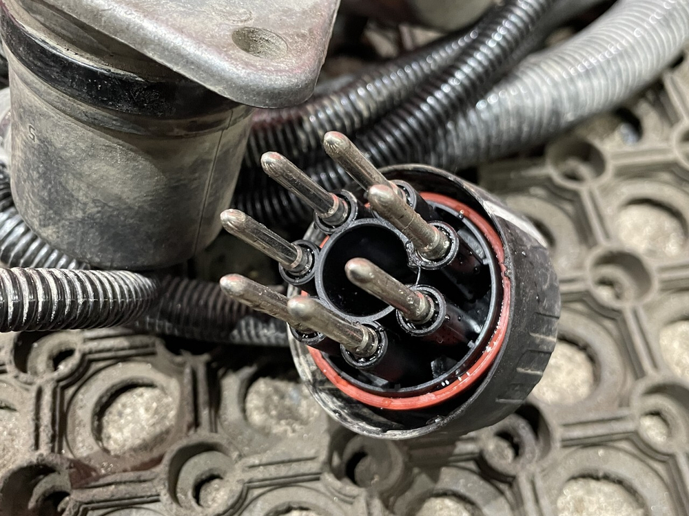 Проводка шасси основная 2023г