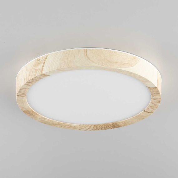 Светильник накладной Citilux Бейсик CL738122N