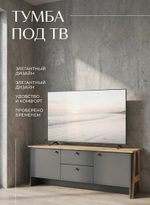 Тумба под ТВ Теодора 144х50х42,1 см 2 ящика стильная Альбина