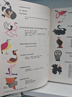 Мир животных. Рассказы о птицах