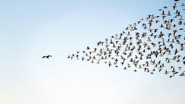 Мотивация к успеху: как пробудить искреннее желание преуспеть