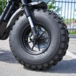 EcoMoto Lion Off-Road E1200W Back Edition