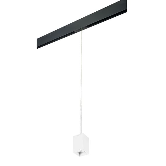 Комплект с трековым светильником Lightstar Rullo (216336+595957) PRORP336