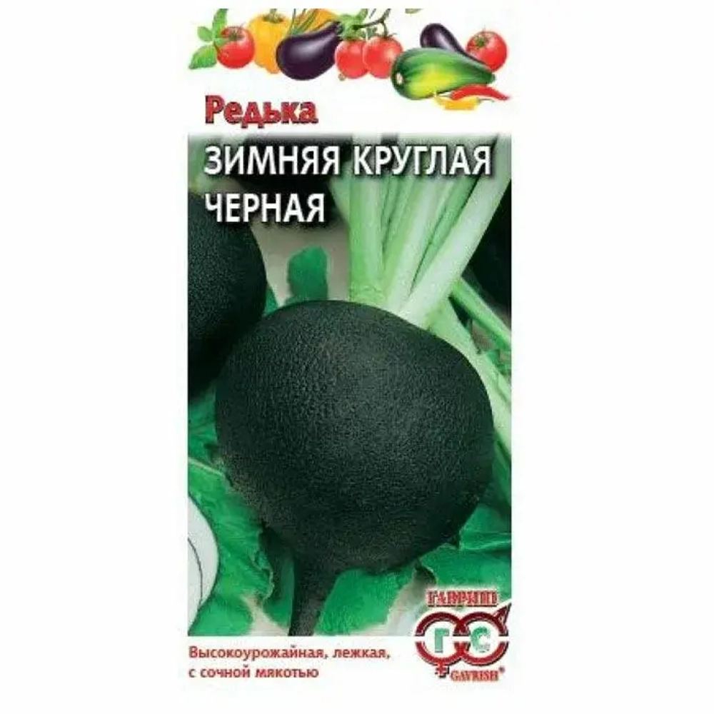Редька черная