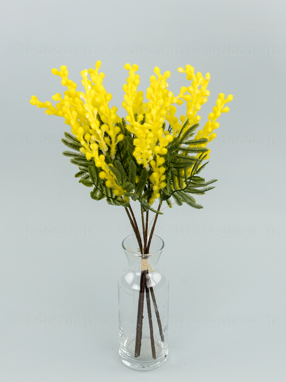 Срез мимозы Дружба