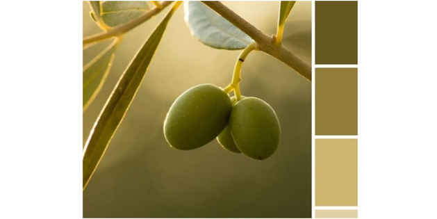 КОФЕ С ОЛИВКОЙ