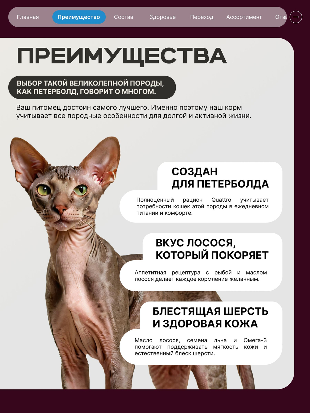 Корм сухой для взрослых кошек породы Петерболд, с лососем, 2 кг, QUATTRO