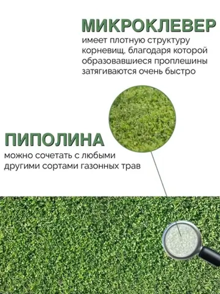 Газон - Микроклевер Пиполина (50 гр)