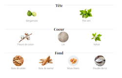 Духи Blanc d`Azur 100 мл | Galimard