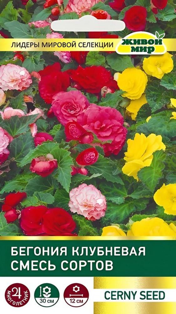 Бeгoния клубневая "ЖМ. Смecь copтoв" 10шт, Чехия. Бeгoния клубневая "ЖМ. Смecь copтoв" 10шт, Чехия.