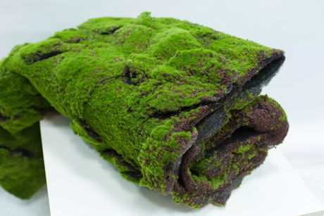 Коврик с кочками на войлоке 2*1м (темная основа)