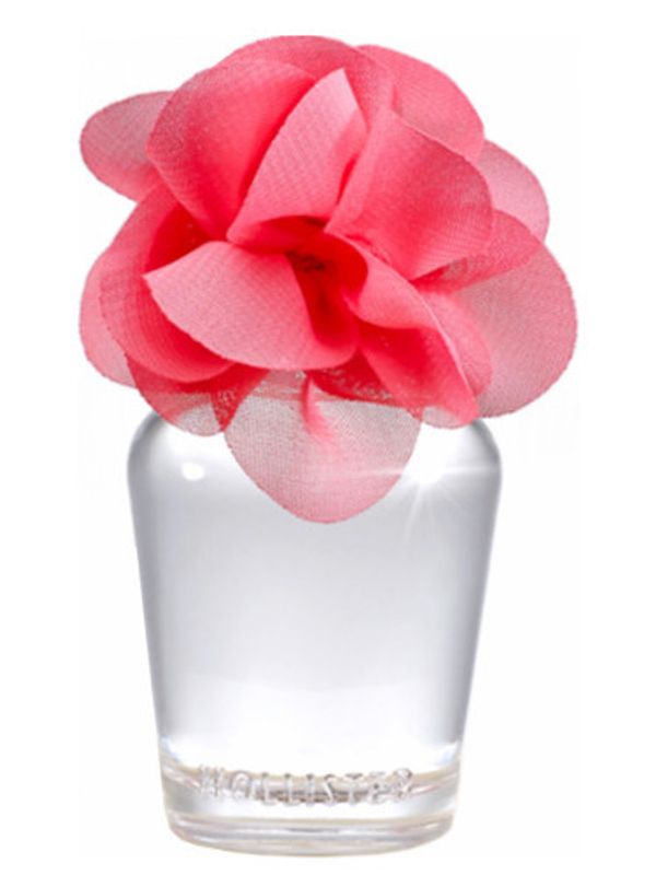 Hollister Addison Sunrise