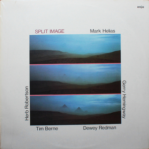 Mark Helias / Split Image (LP)