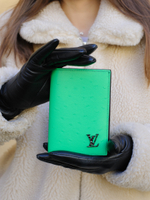 Louis Vuitton Обложка для паспорта