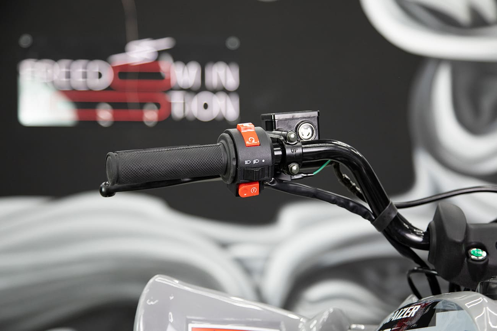 Квадроцикл SHARMAX Raizer Race Cup 250