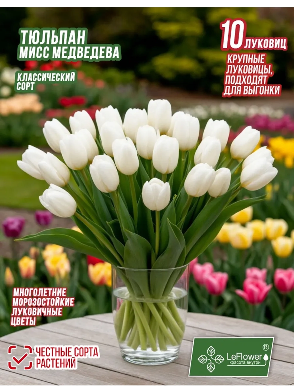 Тюльпан Луковица, Мисс Медведева, 10шт крупные