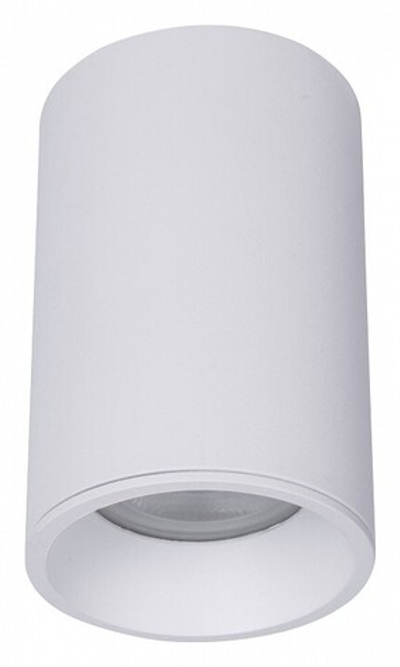 Накладной светильник Maytoni Zoom C029CL-01-S-W