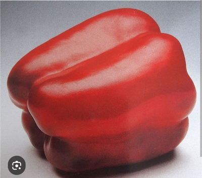 Перец Соланор F1 / Solanor F1  1000 семян