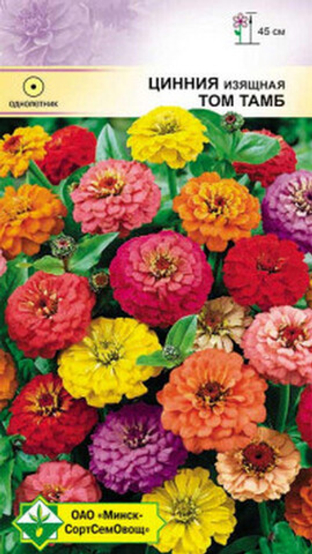 Цинния изящная "Том Тамб" 0.3г., Германия.