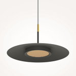 Подвесной светодиодный светильник Maytoni El MOD041PL-L15B3K1