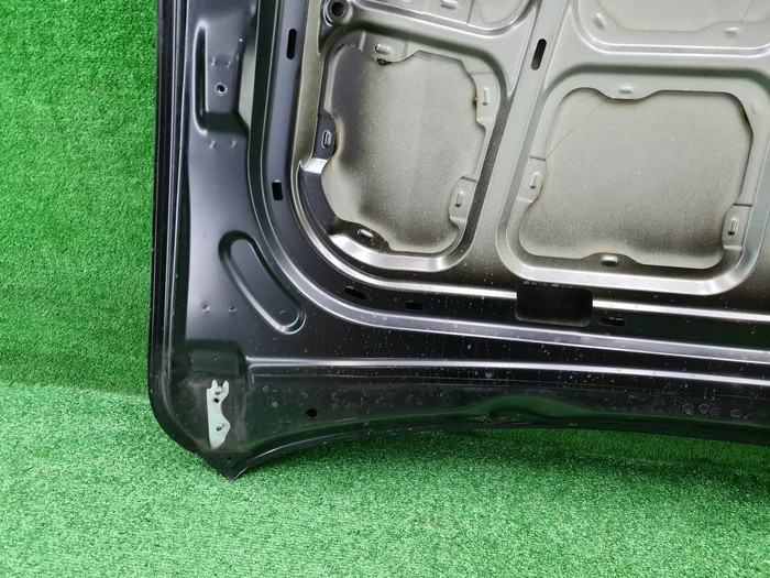 Капот Hongqi HS5 (2019-н.в.)