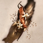 Zadig & Voltaire Zadig EDP