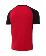 Футболка игровая Camp Striped Jersey, красный/черный, детский