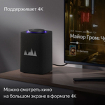 Умная колонка ЯНДЕКС Станция Макс Zigbee, 65Вт, с Алисой на YaGPT, графитовый