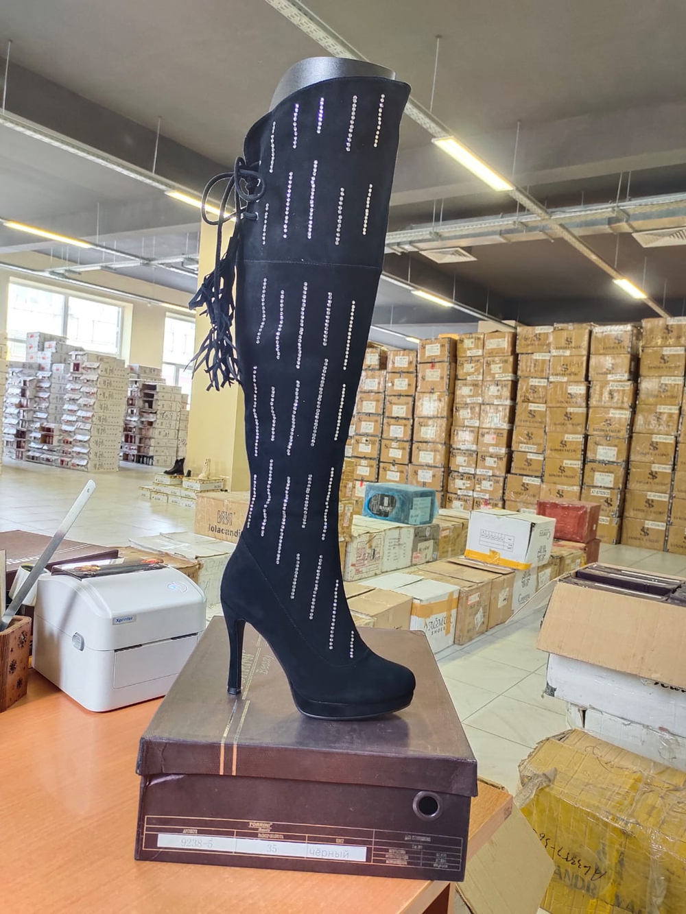 Сапоги женские TORRINI 9238-5 \TRC-1711