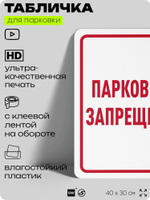Табличка для парковки "Парковка запрещена", для дома, офиса, организаций, 40х30 см, Silver Plane x Айдентика Технолоджи
