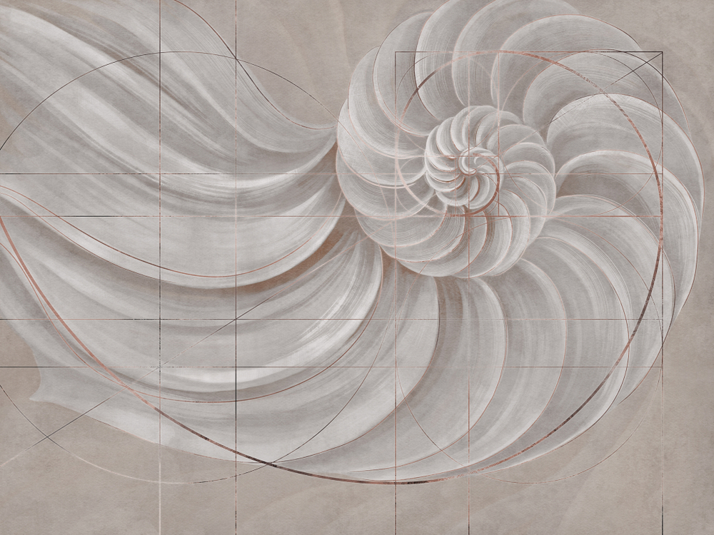 Коллекция MARINA