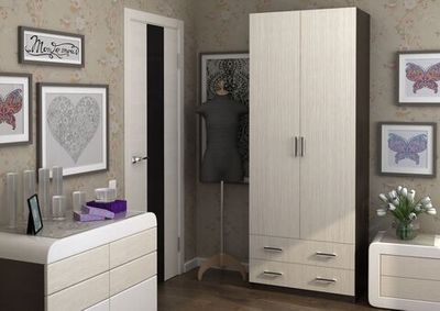 Дуэт шкаф 2-х ств