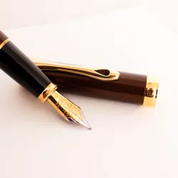 Перьевая ручка Diplomat Excellence A2 Marrakesh brown gold F 14ct. (D40213013) 5