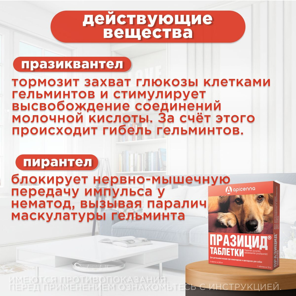 Таблетки от гельминтов для собак Празицид APICENNA, 6таб. Празиквантел/Пирантел